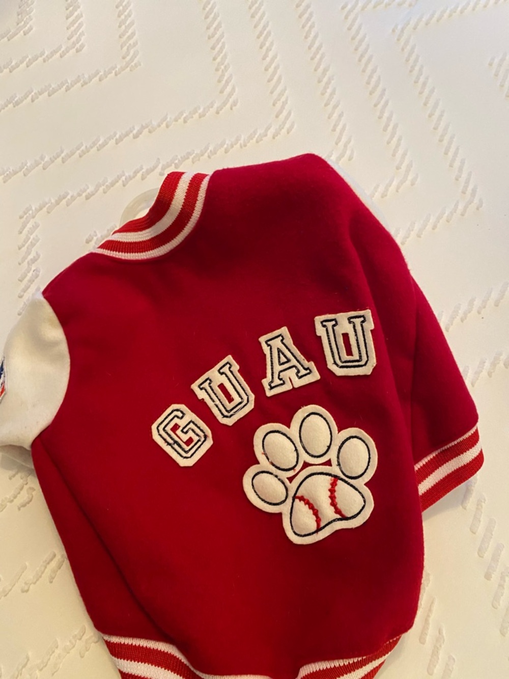 Small Dog’s Baseball Jackets - Unbranded